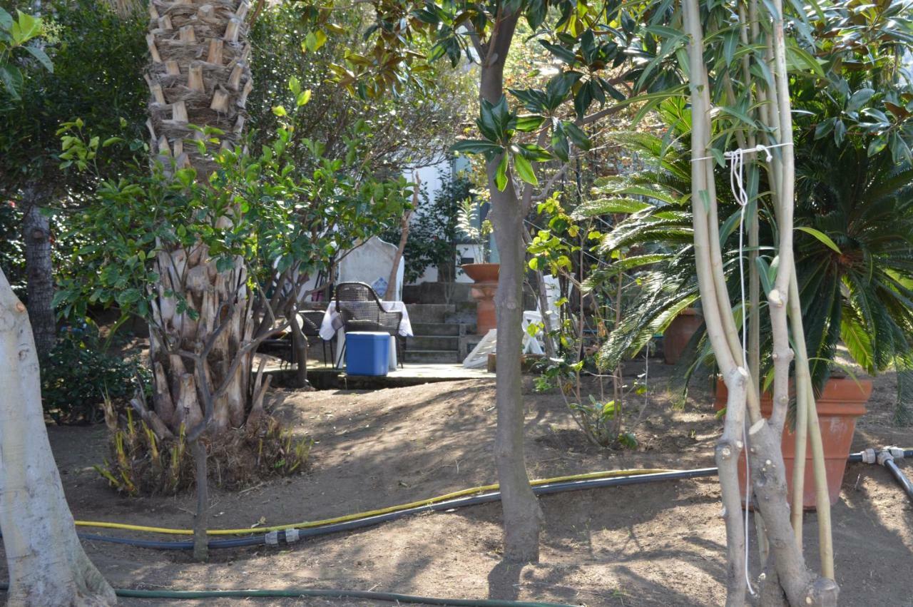 B&B Il Giardino Segreto Stromboli Exterior foto